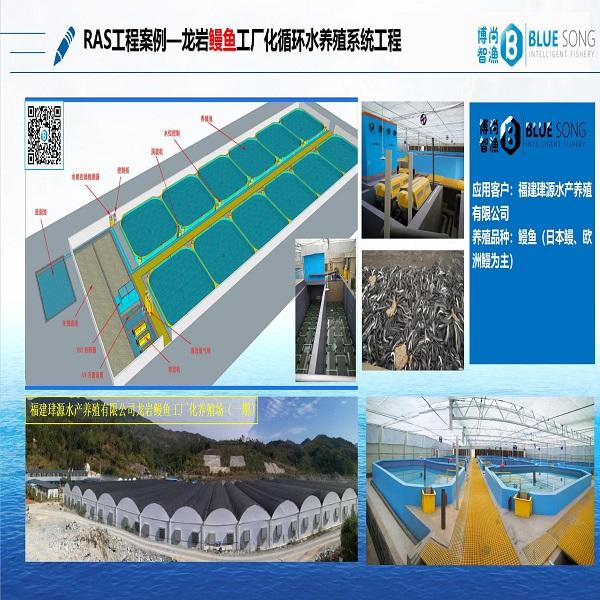 工廠化鰻魚(yú)RAS系統(tǒng)工程